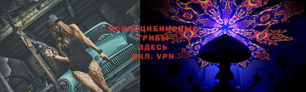 spice Зерноград
