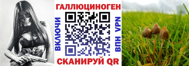 Галлюциногенные грибы мицелий  OMG tor  Тында 